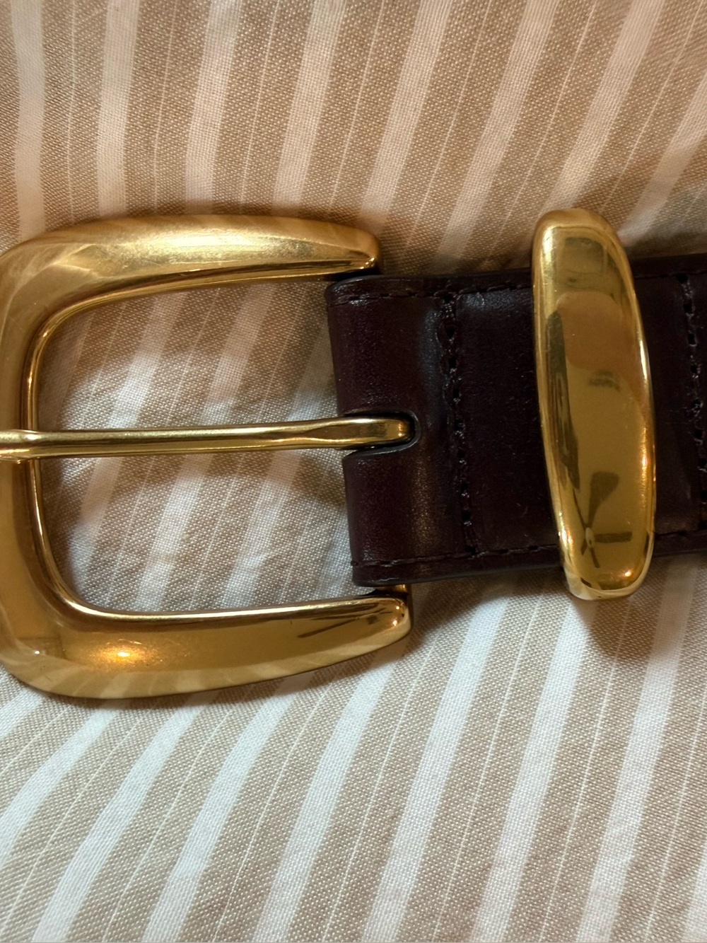 Aritzia WIDE Brown Leather Belt with Gold Buckle